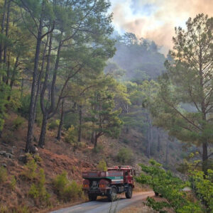 ormanlar yaniyor mudahale suruyor dm7Iycbz