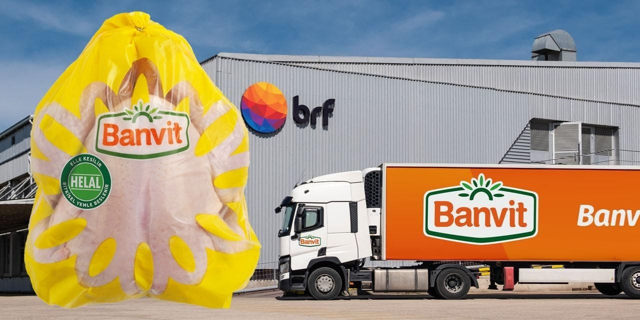 beyaz et devi banvite dev ceza 4sZghGJL