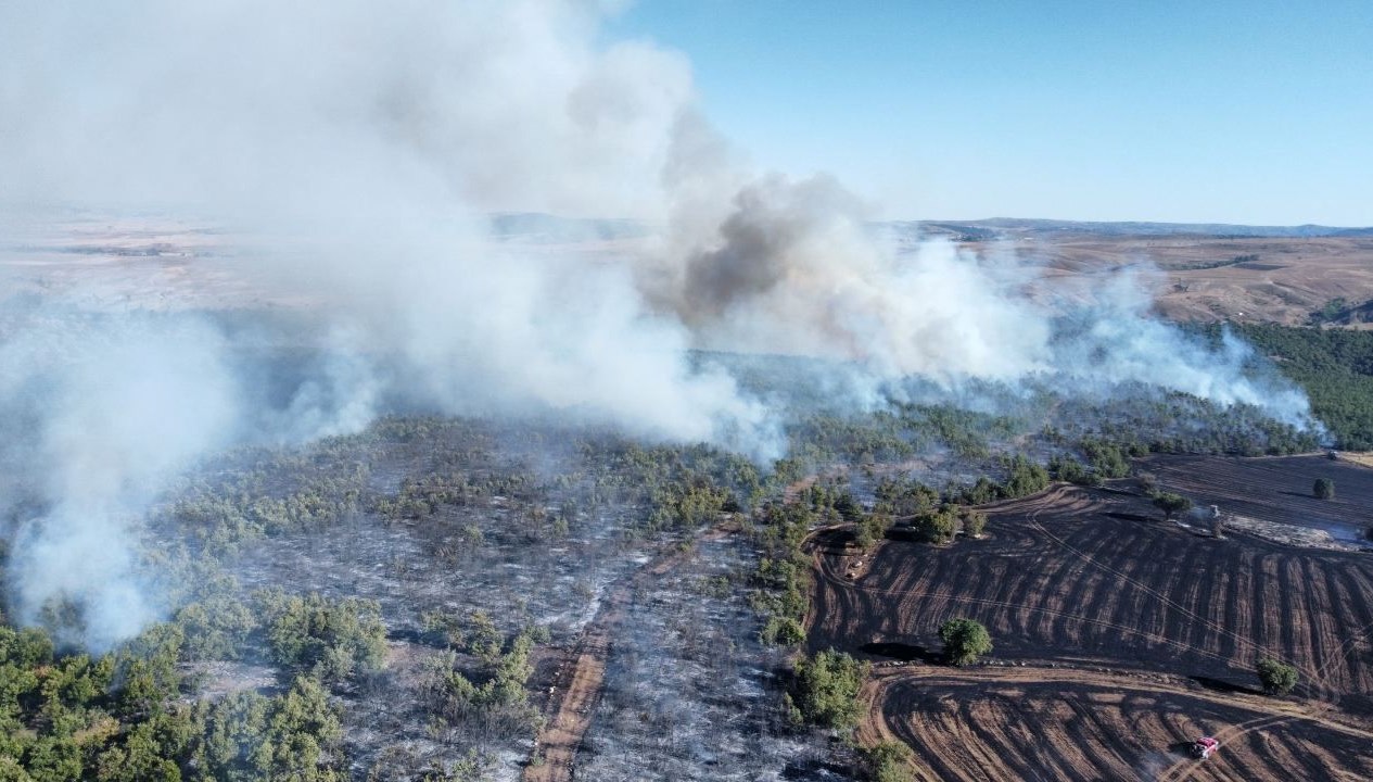 corumda arazi yangini ormanlik alana sicradi ADBX65zC