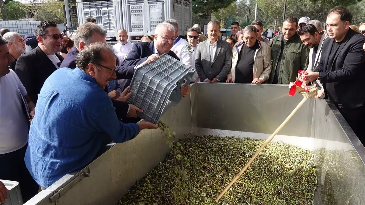 edremit zeytinyagi tadim festivali buyuk ilgi gordu XKAMfvCE.jpg