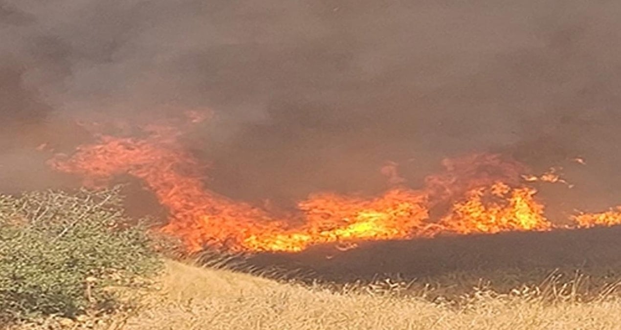 izmirde anizda cikip agaclik alana sicrayan yangin sonduruldu djkz7NGx