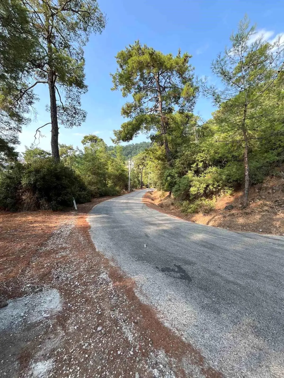 marmariste yangin onleme calismalari yayginlasirken V2jZUDeB