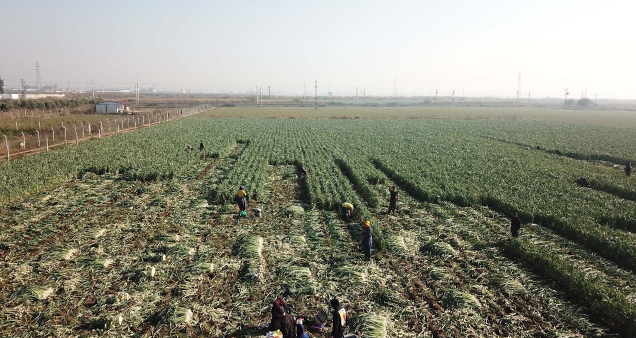 tarimsal kredilerde faiz destegi geri alindi yl8zrS5T.jpg