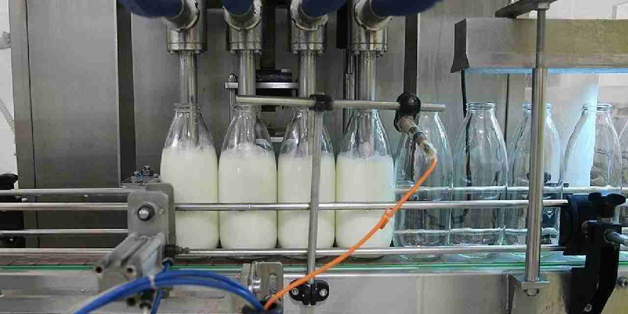 toplanan inek sutu miktari agustosta dustu K71AGQaz.jpg