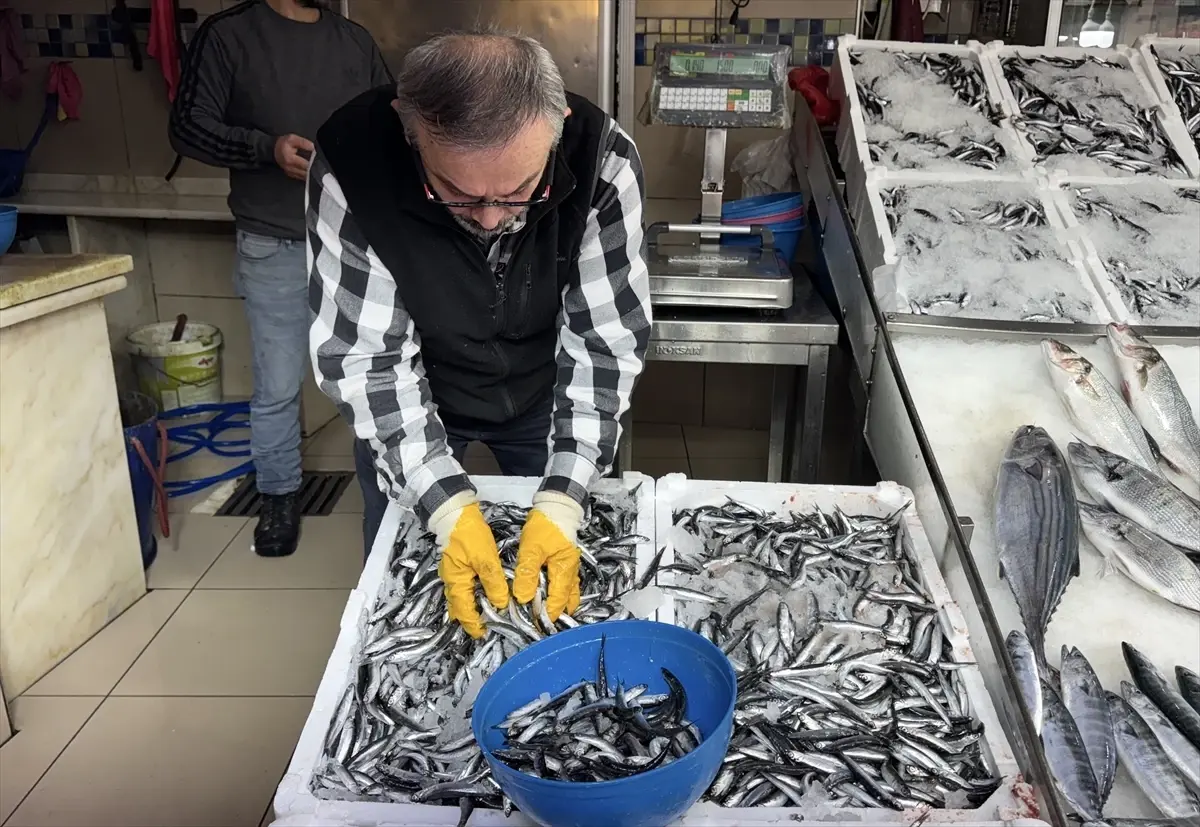 sinopta hamsi fiyatlari dustu f6shx45Y.jpg