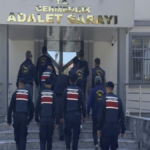 cani-evlat-annesini-odunla-oldurdu-cgQCgwqP