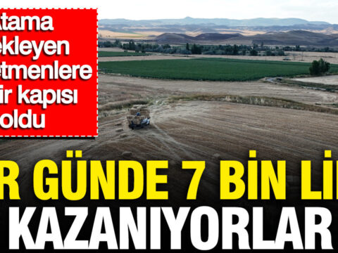 Bir gunde 7 bin lira kazaniyorlar atama bekleyen ogretmenlere gelir kapisi oldu aNtFsgA5