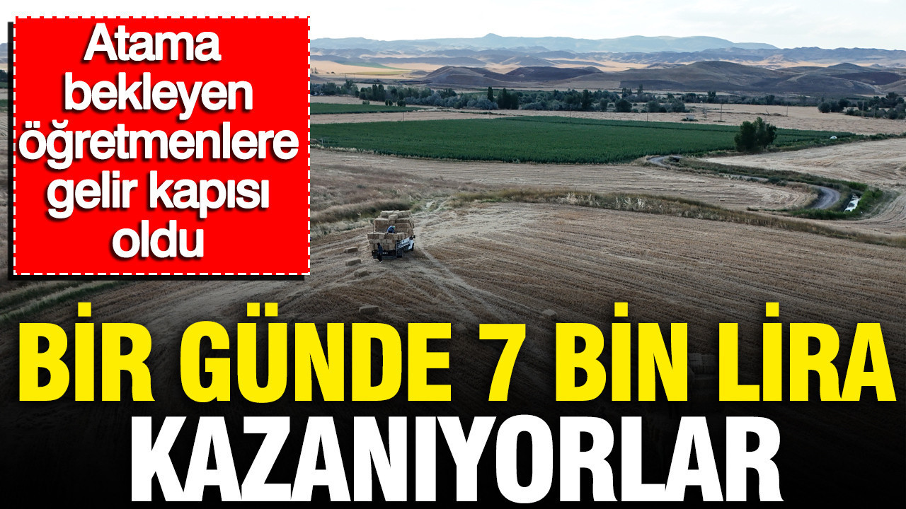 Bir gunde 7 bin lira kazaniyorlar atama bekleyen ogretmenlere gelir kapisi oldu aNtFsgA5