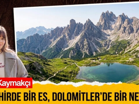 Haber gorseli