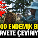 Talebe yetisemiyor bin 200 endemik bitkiyle uretilen bali tum turkiyeye satiyor hUmM3mc9